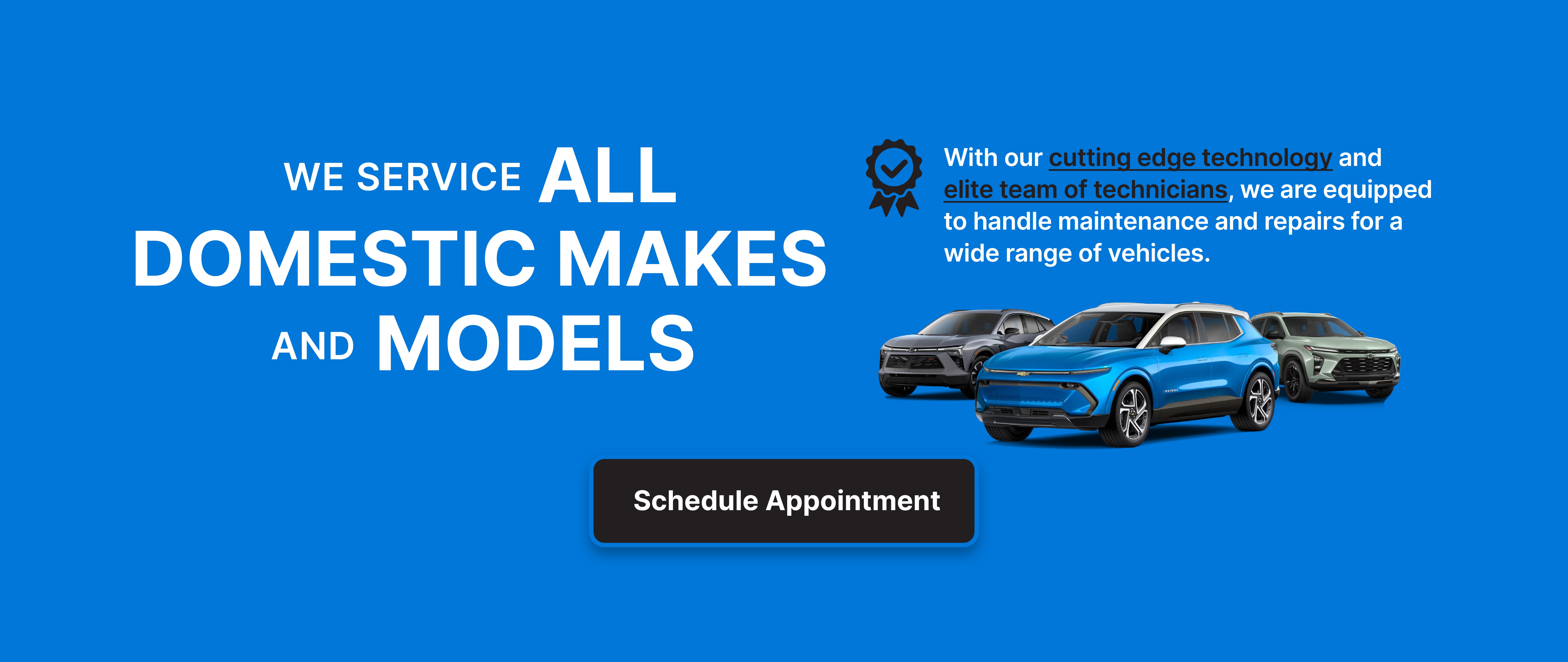 We service all domestic makes at Tom Kadlec Chevrolet in NORTH BRANCH MN
